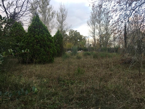 Imagen 3 de 3 de Lote De Terreno