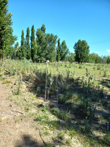 Imagen 8 de 8 de En Venta Chacra General Conesa 6 Hectareas