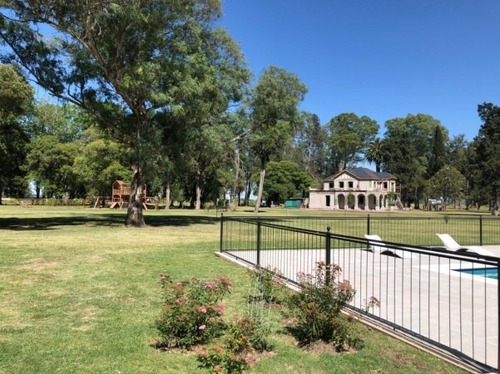 Imagen 9 de 15 de Lote Los Tres Pinos