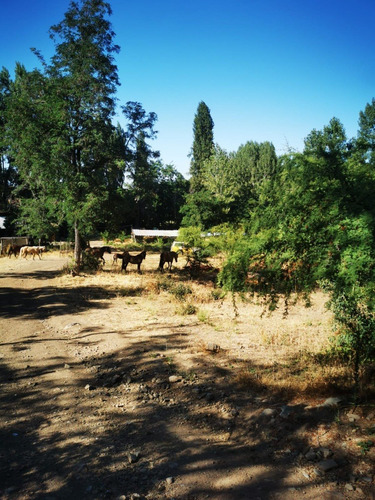 Quinta La Fe Doñihue