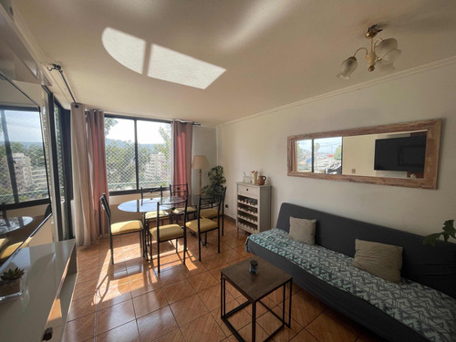 Amoblado, 2d+2b+1e, Cerca U De Valpo, Jardin Del Mar Reñaca