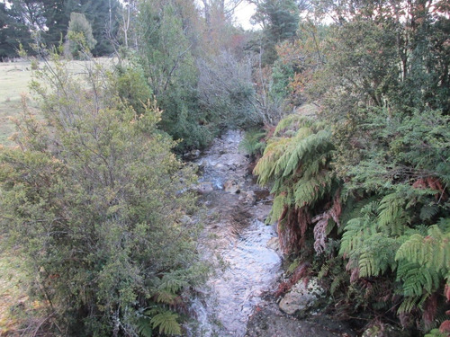 Parcela En Venta En Puerto Varas