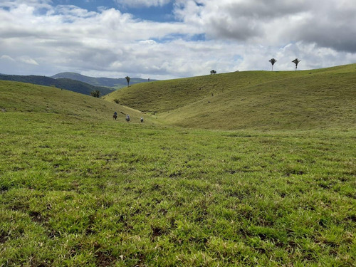 Imagem 3 de 15 de Fazenda Para Venda Em União Dos Palmares, Zona Rural - In - 0010_1-2015625