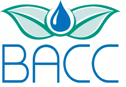Bacc Beauty and Care