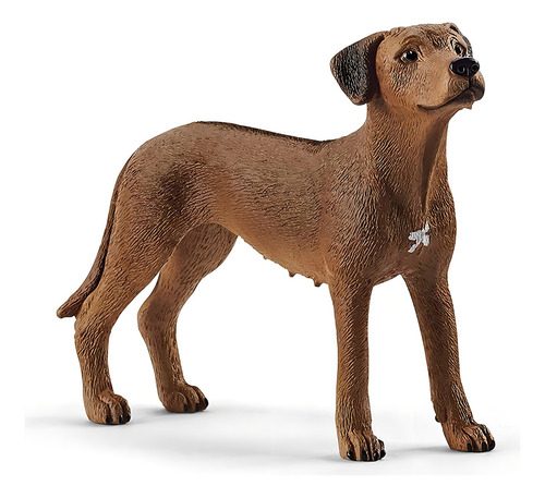 Schleich Perros Gatos 13895 Perro Rhodesian Ridgeback
