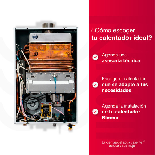 Calentador de Agua 21 Litros Gas Natural Tiro Forzado Dig Rheem