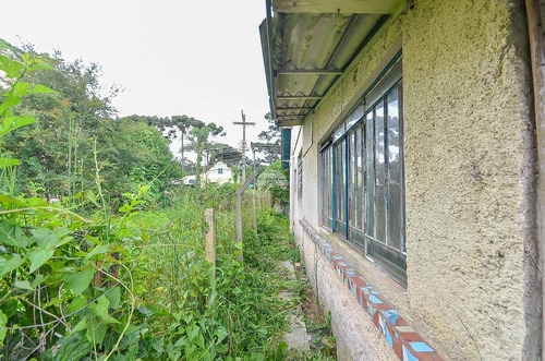 Imagem 18 de 30 de Terreno - Residencial - 923808
