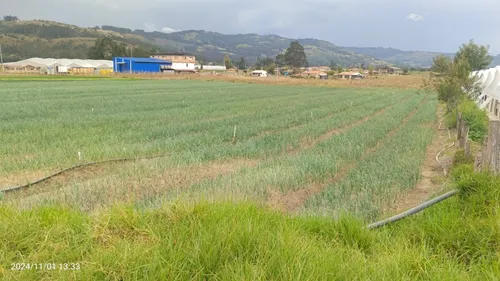 Se Vende Lote De 2000 M2