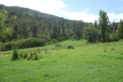 Hermoso Terreno En Venta En Una De Las Zonas Mas Solicitadas En República Dominicana La Joya Que Es Constanza