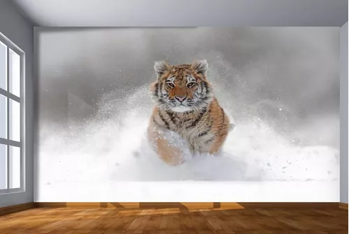 Papel De Parede Animais Tigre Correndo Rio 3D Anm237 com o Melhor Preço é  no Zoom