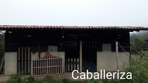 Imagen 10 de 24 de Casas En Venta Puerto Boyaca 476-2419