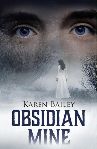 Obsidian Mine, De Bailey, Karen. Editorial Tellwell Talent, Tapa Blanda En Inglés