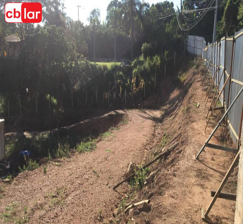 Imagem 2 de 15 de Terreno - Te00153 - 69909909