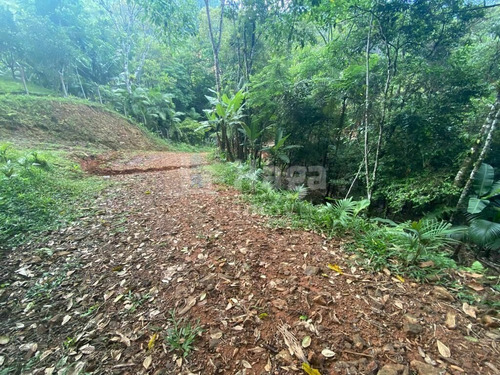 Imagem 6 de 17 de Terreno À Venda No Bairro Moura - Canelinha/sc - 2171t