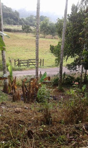 Vendo Uma Chacara Com 8000.mt Quadrados