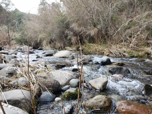 Parcela 5.000 M² A 2h45 De Santiago  Bosque Nativo, Curicó