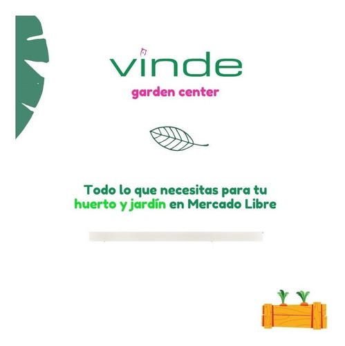 Imagen 7 de 7 de 10 Plantas Suculentas Miniatura. Solo Entregas Cdmx.