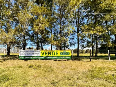 Campo en venta