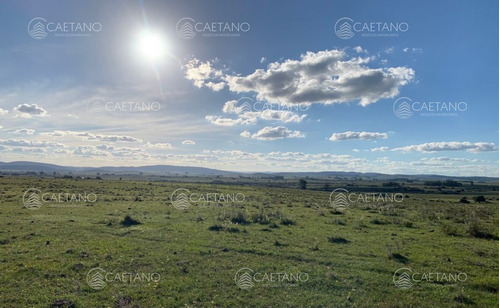 Chacra En Venta 5 Hectáreas A 2km De Ruta 39