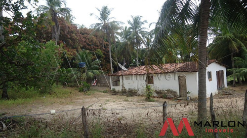 Imagem 12 de 14 de Terreno Em Nizia Floresta