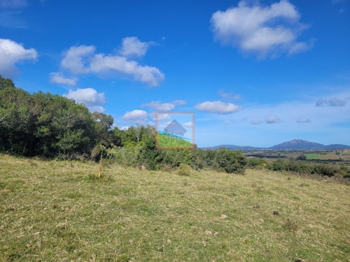 Imagen 6 de 22 de Campo Turístico 145hás En Zona De Pan De Azúcar