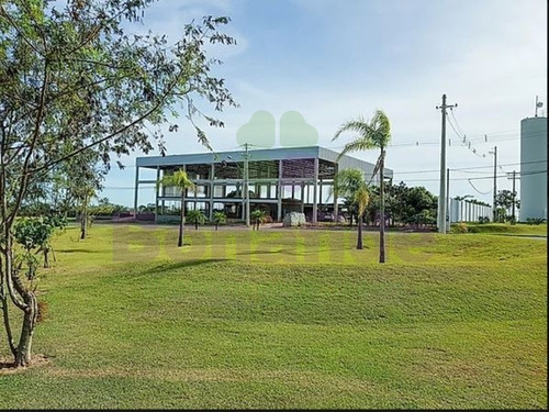 Imagem 17 de 28 de Terreno Industrial, W Park Condomínio Industrial, Mongi Mirim - Te08616 - 34837415