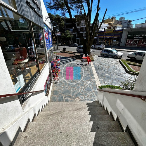 Local En San Bernardo - Sobre Centro Peatonal Y Av San Bernardo. Edificio Redondo.