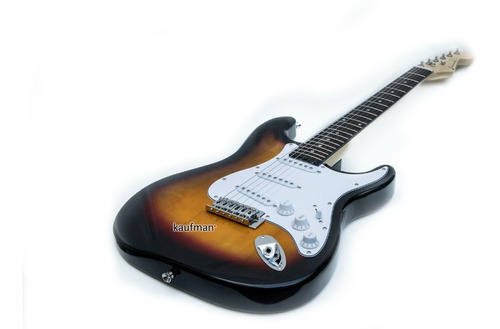 Imagen 1 de 4 de Guitarra Eléctrica Stratocaster By Danwood Excelente Calidad