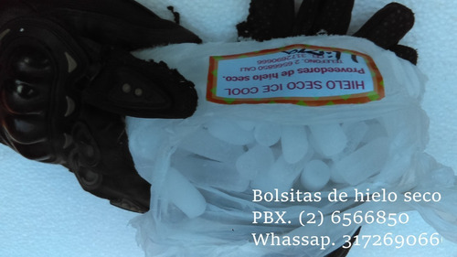 Bolsas De Hielo Seco. Ice Cool. Dry Ice
