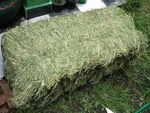 Imagen 1 de 2 de Nuevo Libro. Paca Heno Jumbo De Alfalfa. Envío Gratis