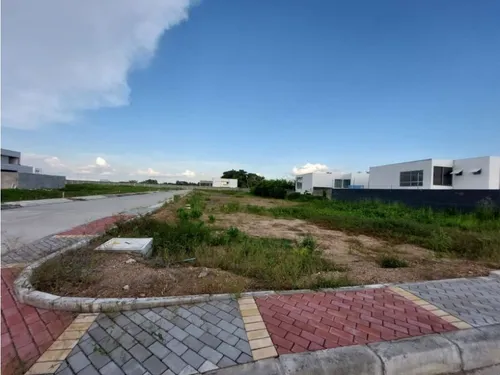 Lotes Urbanizados En Conjunto Cerrado Picacho En Monteria