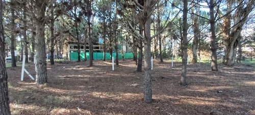 Imagen 4 de 7 de Venta. Lote En Paseo Del Bosque Von Todos Los Servicios