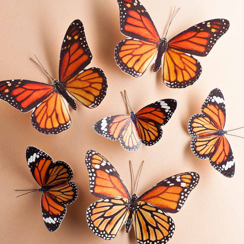 Set Mariposa Monarca Naranja Autoadhesiva Decoración Pared 