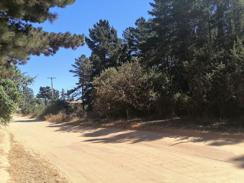 Parcela, Plana, A Orillas Del Camino Antiguo A Las Docas