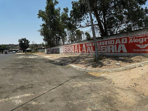 Terreno Comercial En Renta En Narciso Mendoza San Martín De Las Flores