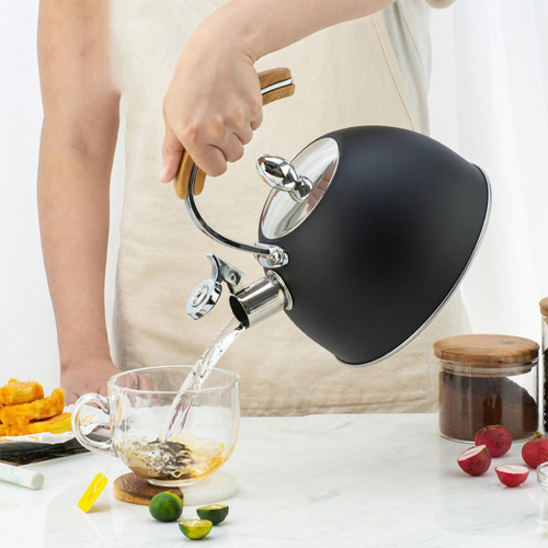 Tetera De Acero Inoxidable Estufa Con Mango De 2 Piezas