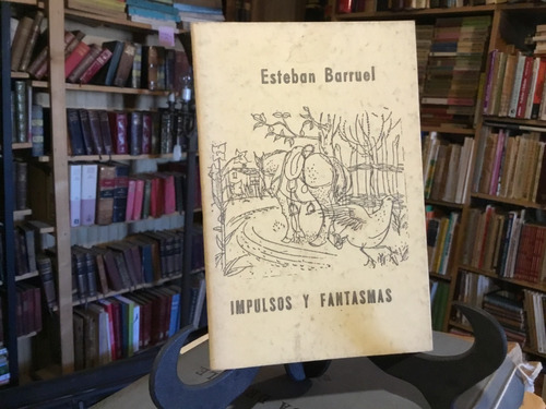 Impulsos Y Fantasmas. Esteban Barruel Isla Negra El Tabo