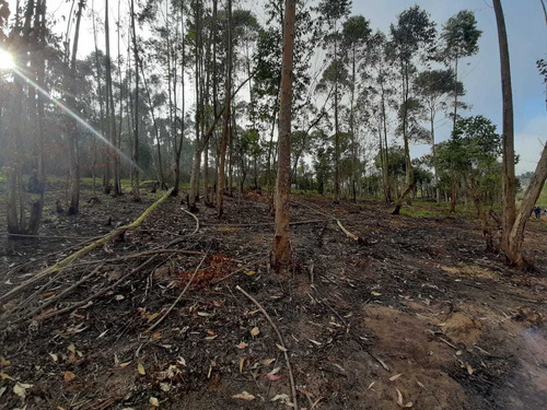 Imagem 7 de 10 de Compre Agora, Terreno No Interior De São Paulo