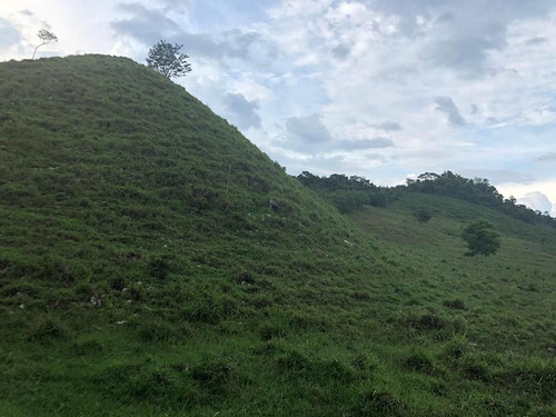 Terreno De 190 Hectáreas Cerca De Palenque
