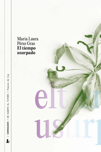 El Tiempo Usurpado - Perez Gras, Maria Laura 