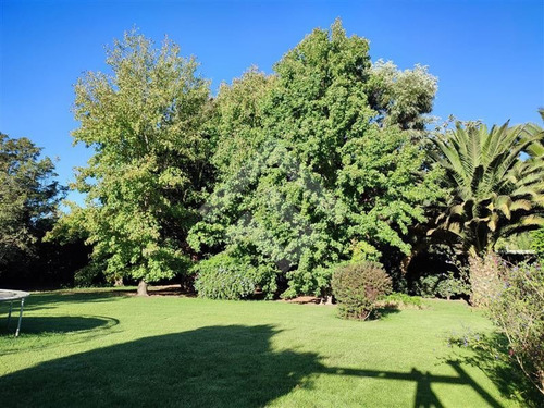 Imagen 15 de 23 de Parcela En Venta Con Casa, Jardin Y Piscina En Talagante