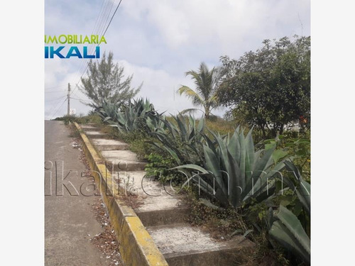 Imagen 5 de 12 de Terreno En Renta Anahuac