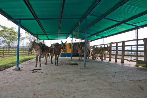 Imagen 17 de 25 de Finca Bufalina Barinas, Parroquia San Silvestre En Venta