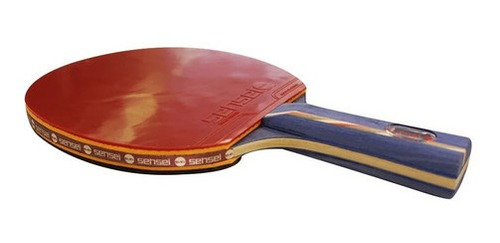 Imagen 3 de 6 de Paleta De Ping Pong Tenis Mesa 6 Star Sensei