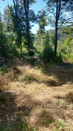 Parcela De 5000m2 A Orilla De La Ruta 206 Valdivia-paillaco