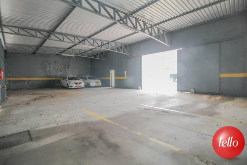 Comercial/industrial - Ref: 222929