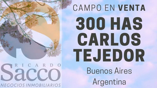 Campo Mixto De 300 Has En Venta En Carlos Tejedor 