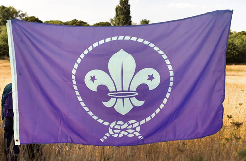 Bandera Scout Mundial 