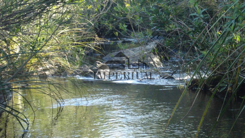 Venta, Campo 98 Hectáreas En Sierras De Carapé