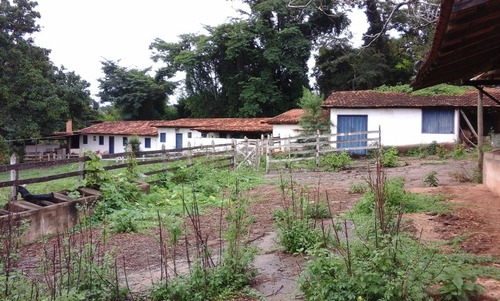 Terreno / Área Com 3 Quartos Para Comprar No Zona Rural Em Jaboticatubas/mg - 2806